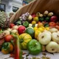 У Києві запустили інтерактивну мапу фермерських ярмарків “єЯрмарок”