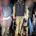 На Київщині собаки-поліцейські знайшли двох літніх грибників, що заблукали