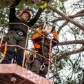 Світло вимикатимуть через дерева: графік планових робіт у Яготинській громаді