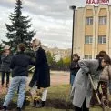 У Києві висадили алею калини в пам’ять про загиблих випускників академії танцю
