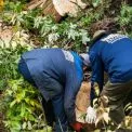 Було сміття — стало чисто: у Святошинському районі прибрали канал, що заростав відходами