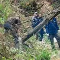 КП «Плесо» прибрало сміття та повалені дерева зі Святошинського каналу