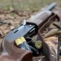 На Київщині ухвалили рішення відстрілювати диких хижих тварин до лютого 2026 року