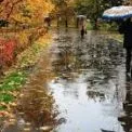 Осінь бере своє: у Києві 19 жовтня — дощ, холод і сіре небо