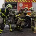 Найкращі пожежні Києва: хто став переможцем змагань ДСНС і чому черепахи — символ наполегливості