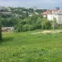 У Києві пройде вирішальний суд щодо захисту Протасового яру