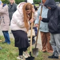 У парку «Нивки» висадили «Платанову алею Героїв» на честь загиблих захисників України