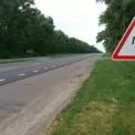 Траса, що вбиває: чому Київщина потребує зоомостів просто зараз