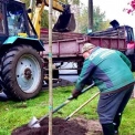 Київ зеленіє: у Подільському та Голосіївському районах висадили дерева й кущі