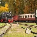 Свято для всієї родини: Київська дитяча залізниця проведе Halloween-вікенд із розвагами