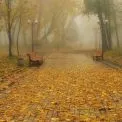 Київ прокидається під сірим небом: що обіцяють синоптики на 26 жовтня