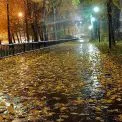 “Бабиного літа” не буде: у Києві прогнозують дощі й похолодання до кінця жовтня