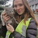 Кошеня з-під уламків у Києві врятувала та прихистила слідча поліції