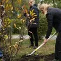 У Києві висадили Алею магнолій на честь дітей, які пішли через рак