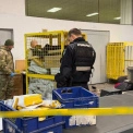 Поліція затримала підозрюваного у вибуху на сортувальному центрі «Укрпошти» в Солом’янському районі
