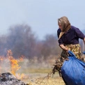 Осіннє листя — не для вогнища: у Києві нагадали про заборону спалювати рослинність і штрафи до 30 тисяч грн