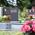 Нове кладовище у Славутичі: на коригування робіт спрямували 32,6 млн грн