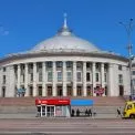 Петиція до Київради: мешканці просять зупинити використання диких тварин у цирку