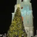 Київ з 8 листопада починає встановлення головної ялинки: відкриття — 6 грудня