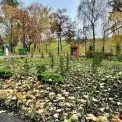 Куренівський парк готують до нового сезону — висадили квіти, злаки та хвойні рослини