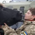 Кінопрем’єри листопада в Києві: топ-10 фільмів місяця