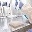 Захворюваність на грип і ГРВІ у Києві зросла: понад 9 тисяч випадків за тиждень