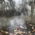 Вівторок у Києві буде похмурим і дощовим, але теплим