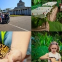 На Київщині діти з патронатних родин відвідали “Планету метеликів” на ВДНГ