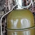На Київщині сапери вилучили гранату, знайдену в гаражному кооперативі