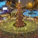 У Києві готують святкове диво: 16-метрова ялинка прикрасить Софійську площу