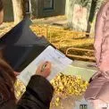 У Києві викрили схему незаконної приватизації землі заповідного фонду на 7,8 млн грн
