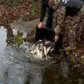 Озера Бородянки отримали нове дихання: громада заселила водойми 400 кг риби