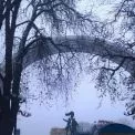 На Київщині — хмарно та без опадів: синоптики обіцяють до +14°