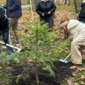 У Дарницькому районі озеленили парк Партизанської слави: школярі посадили 50 дерев