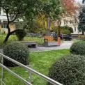 У центрі Шевченківського району відкрили новий інклюзивний мінісквер із понад 1600 рослин