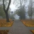 Похмурий, але сухий день у столиці: 20 листопада Київ переживе легкий мороз і вітер