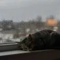 Погода у Києві на вихідних