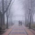 У Київ приходить коротке потепління. Прогноз на  25-29 листопада
