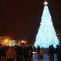 Головна ялинка країни на Софійській площі: святкова локація — за кошти меценатів