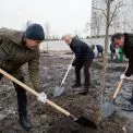 Київ озеленюється попри війну: 234 тисячі сіянців від трьох лісопаркових господарств