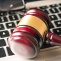 Земельний розпродаж НБУ: понад сотня лотів на Київщині виставлені на торги