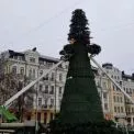 Головна ялинка країни вже на місці: Софійська площа готується до свят