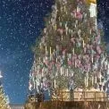 Символ Різдва та незламності: Київ готується запалити головну ялинку