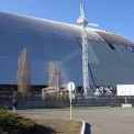 Радіосинтез у дії: чорний грибок із ЧАЕС росте й міцнішає під впливом радіації