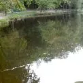 Ставки замулені й смердять, але шанс є: у Києві розглядають план порятунку Горіхуватських водойм