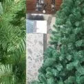 У Києві стартують ялинкові ярмарки: ціни від 500 грн і правила безпечної покупки