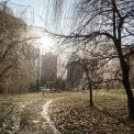 Погода в Києві 5 грудня: м’яка зима, без опадів і з теплим вітром