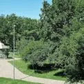 Парк «Юність» став парком Параджанова: Київрада перейменувала ще шість об’єктів