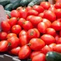 У Києві на вихідних пройдуть продуктові ярмарки: адреси в усіх районах
