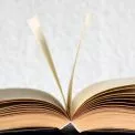 У центрі Києва стартував «Різдвяний Буккросинг»: збирають книжки для дітей і військових